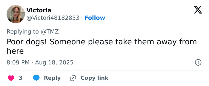 Tweet expressing concern for dogs in a messy house, highlighting Britney Spears intervention worry from a wild video.