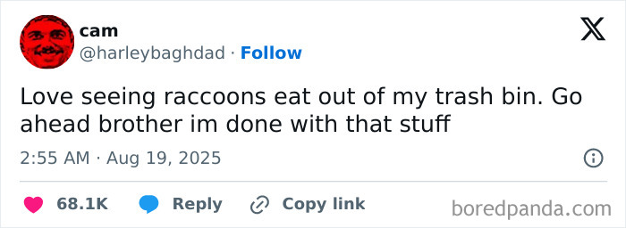 Funny and relatable tweet about raccoons eating from a trash bin, capturing humor from August social media posts.