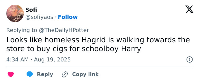 Tweet criticizing new photos from Harry Potter actors and set with mixed reactions on the series' appearance and portrayal. Tweet criticizing new photos from Harry Potter actors and set with mixed reactions on the series' appearance and portrayal.
