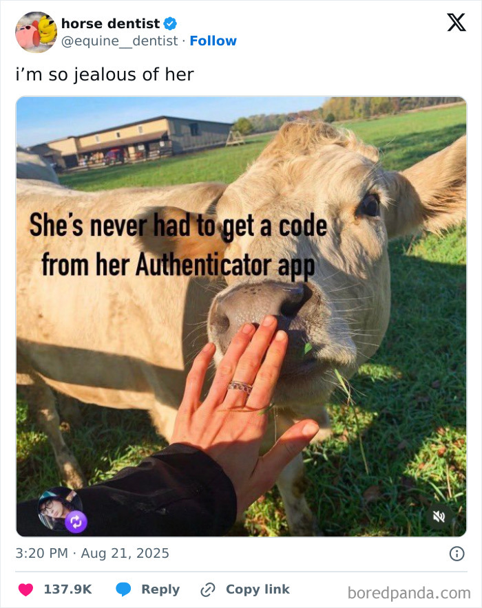Tweet with a funny relatable message about authenticator apps, featuring a person touching a cow in a green field.