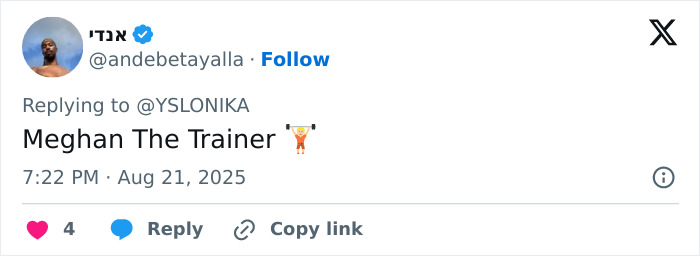 Tweet text saying Meghan The Trainer with an emoji, referencing Meghan Trainor in a humorous social media reply.