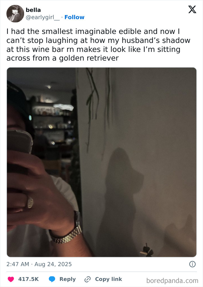 Tweet showing a humorous shadow that looks like a golden retriever, capturing relatable funny moments from August tweets.