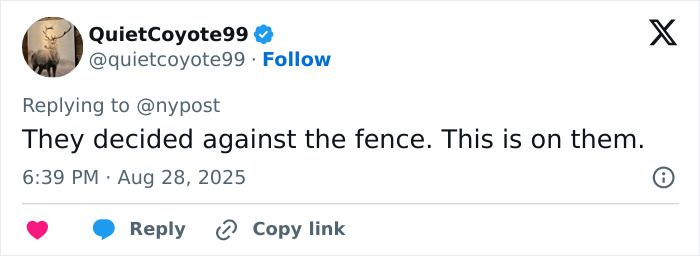 Screenshot of a Twitter reply discussing accountability after 3-year-old's tragic drowning in home pool incident.