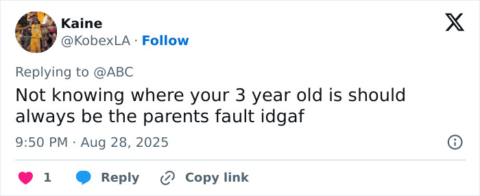 Screenshot of a social media reply discussing responsibility after a 3-year-old&rsquo;s tragic drowning in a home pool.