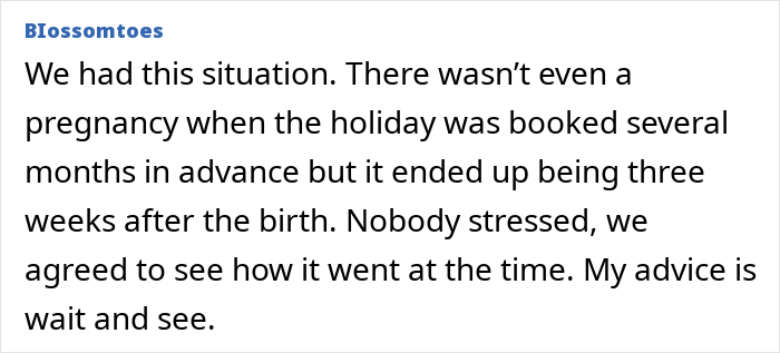 Comment from Blossomtoes discussing pregnancy timing and postpartum trip plans with a 2-year-old child involved.