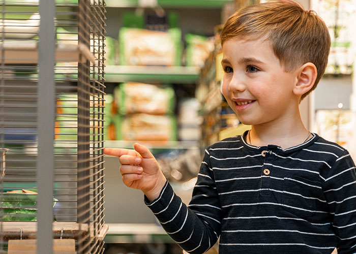 Young boy in pet store looking at animals unattended, highlighting parents leaving kid unattended and damages charged.