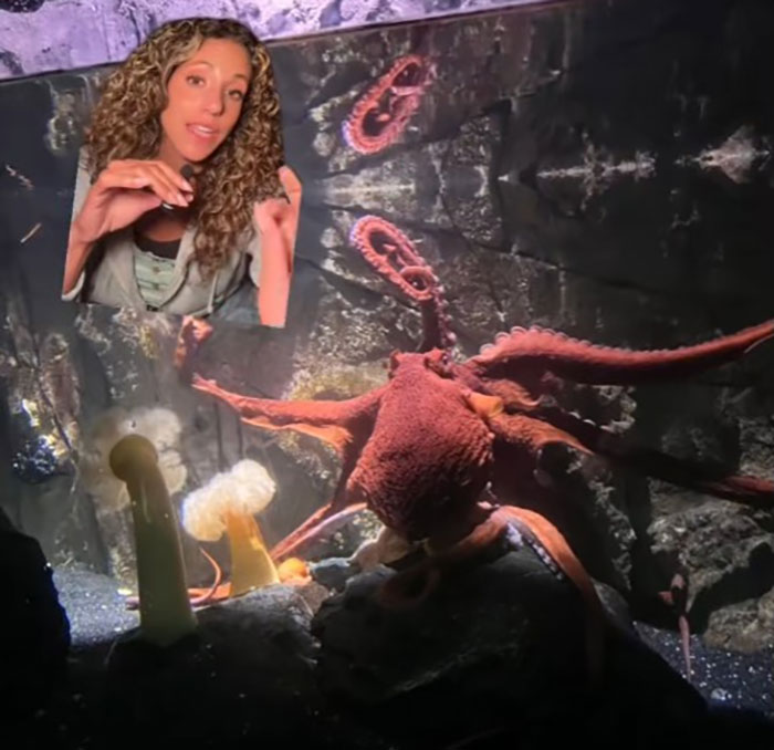Woman speaking about 6-year-old boy attacked by octopus at aquarium, with octopus visible in tank behind her. - 3