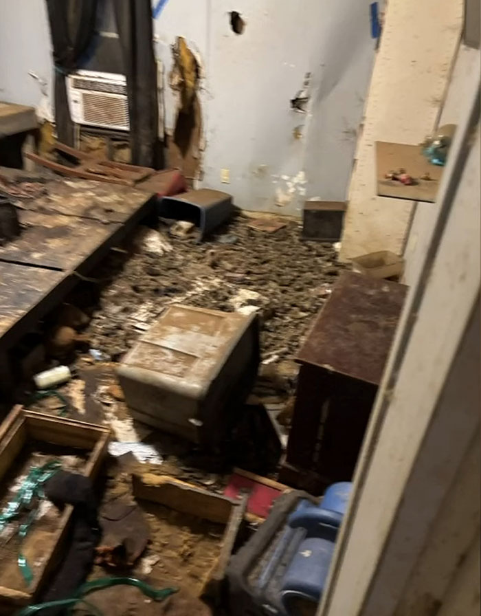 Neglected Florida home with extensive filth and damage after mother abandoned child and seven dogs for two weeks.