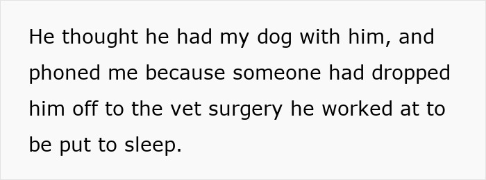 Text image showing a story of a boyfriend trying to stealthily euthanize girlfriend&rsquo;s dog by taking it to a vet.