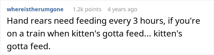 Man feeding a small kitten on a subway train, showing a moment of kindness and care during travel.