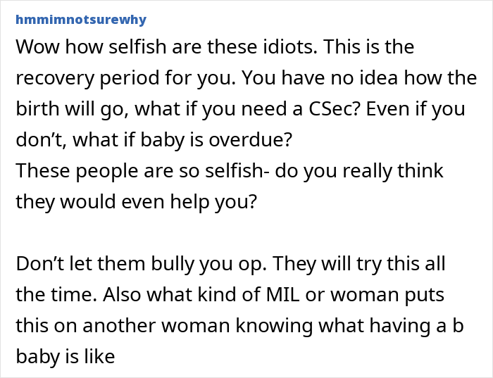 Reddit comment discussing selfishness and challenges postpartum women face after childbirth recovery period.