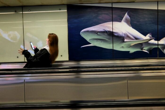 Woman on moving walkway using phone with large shark image behind, showcasing photographer's capture of unseen unposed street moments.