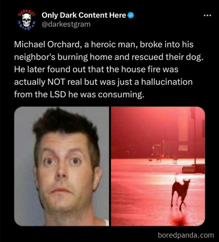 Screenshot of dark Instagram post sharing a creepy story about a man hallucinating a burning house while rescuing a dog.
