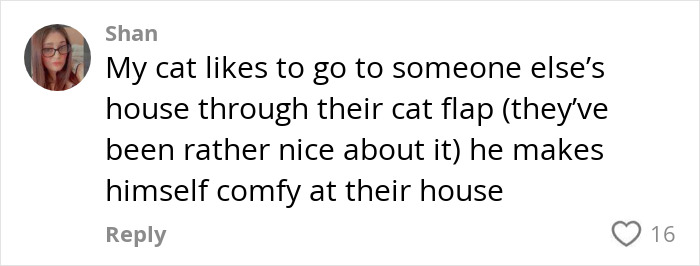Customer texts handyman after new cat flap install, revealing unexpected behavior of cat using neighbor&rsquo;s flap.