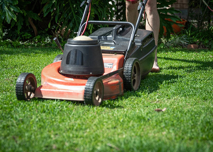 Person pushing a lawn mower on green grass in a garden illustrating tiring chores tied to horrifying facts.