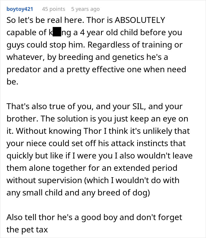 Text comment discussing a dog named Thor's attack instincts and concerns about its danger around children. Text comment discussing a dog named Thor's attack instincts and concerns about its danger around children.