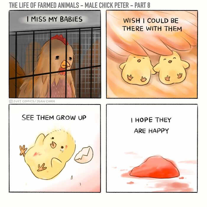 Illustration of a male chick named Peter in a comic exposing the sad reality of farmed animals on the planet.