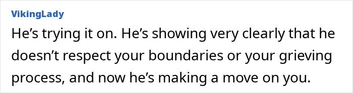 Commenter VikingLady explaining someone ignoring boundaries and affecting friendship during a grieving process online discussion.