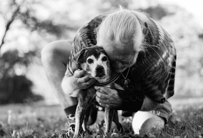 Elderly couple sharing a tender moment with their dogs, capturing final moments between pets and their humans.