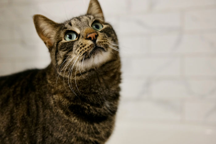 46 Scary Unexplained Real-Life Events That Seriously Freaked People Out - 24