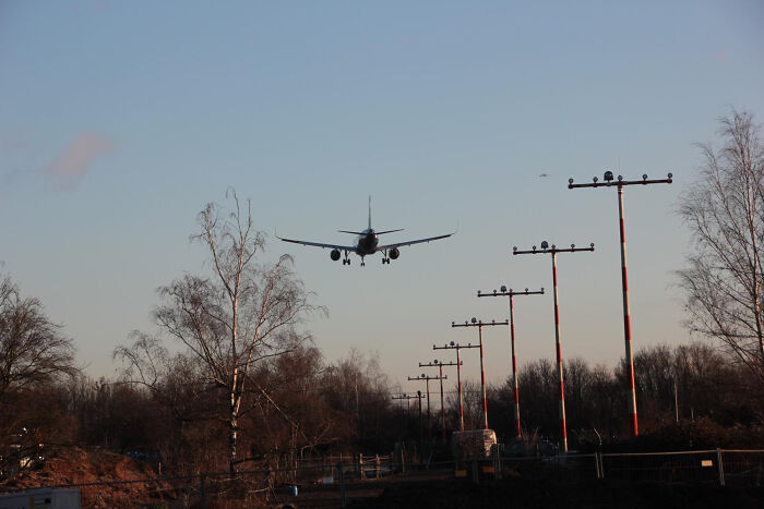 Airplane approaching runway at dusk, illustrating employees skipping work day for insane reasons stories online.