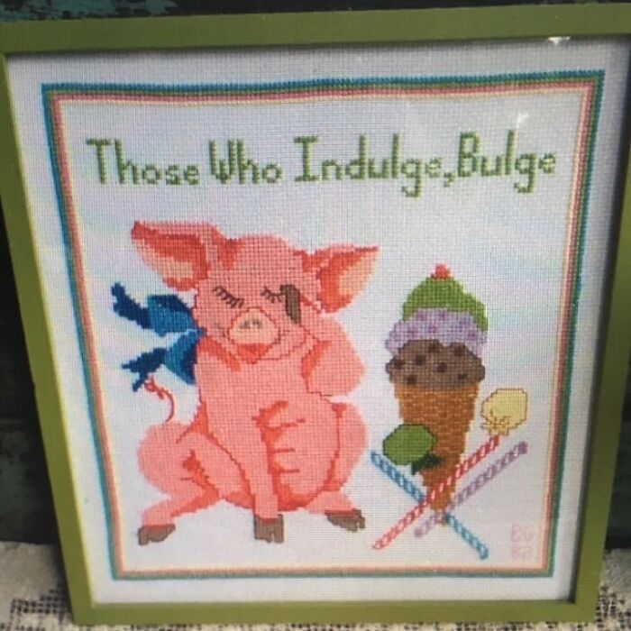 Cross-stitch artwork of a pig with the phrase Those Who Indulge Bulge found among bizarre thrift store items