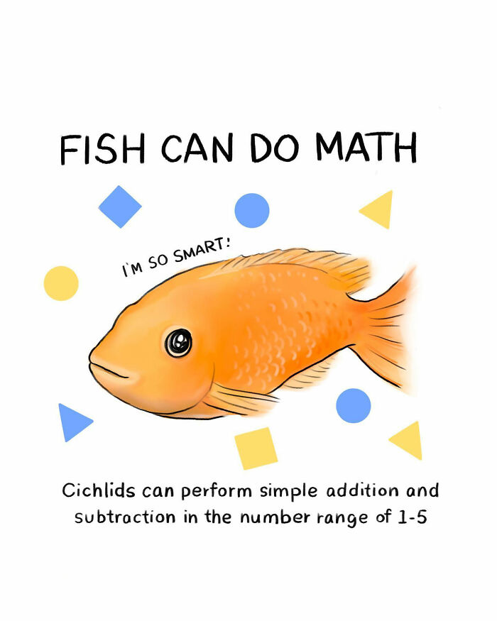 Comic by artist showing a goldfish solving a math puzzle, highlighting the sad reality of many animals on this planet.