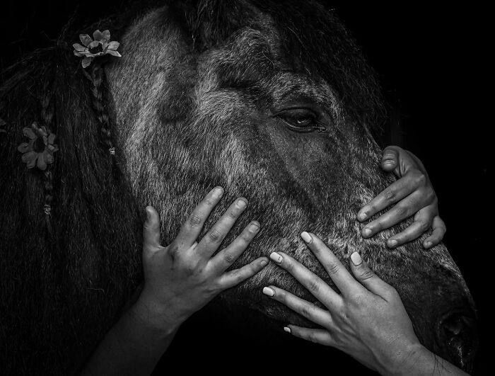 Two women gently comforting a horse in a touching photo capturing final moments between pets and their humans.