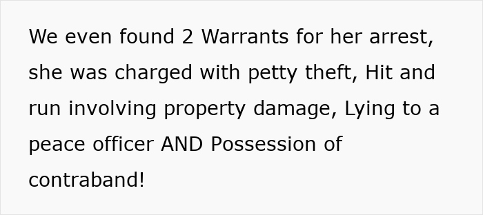 Text highlighting multiple charges against a woman including petty theft, hit and run, lying to officer, and possession of contraband. - 14