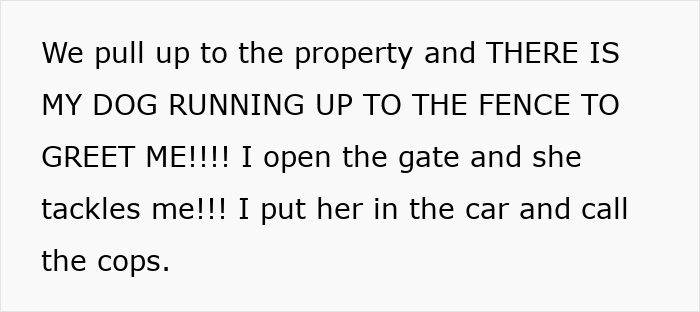 Owner’s loud revenge after lady shamelessly steals husky, catching the thief and securing the dog safely at the fence. - 30
