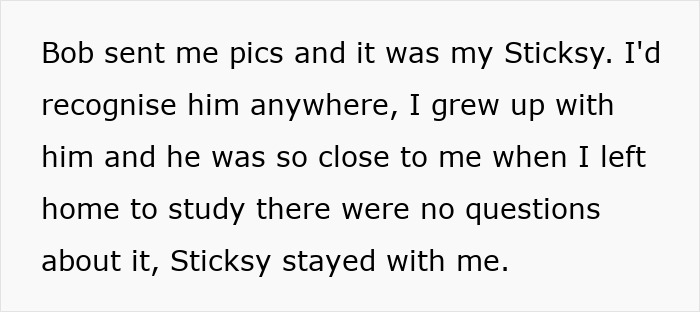 Text excerpt discussing someone named Bob and their close relationship, relating to the topic of boyfriend dragged online for euthanizing dog.