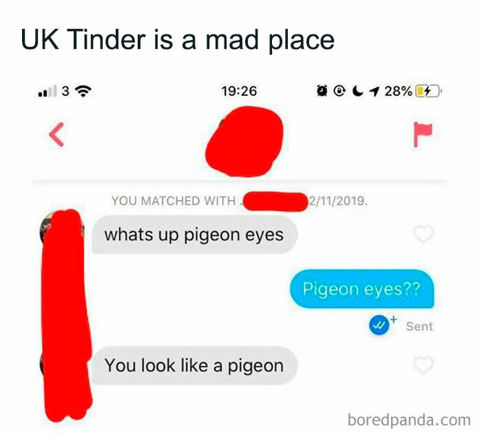 Screenshot of a chaotic British meme conversation on Tinder referencing "pigeon eyes" in UK memes.