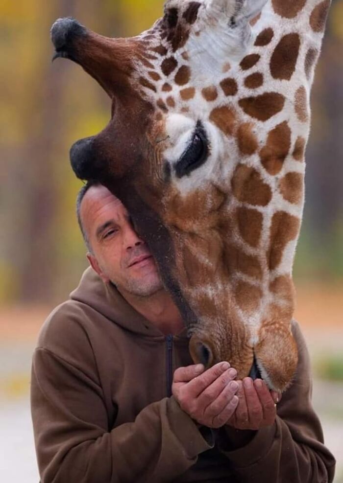 “From Skopje Zoo To The World: How My Wildlife Photos Captivated Global Media Without Ever Leaving Macedonia”