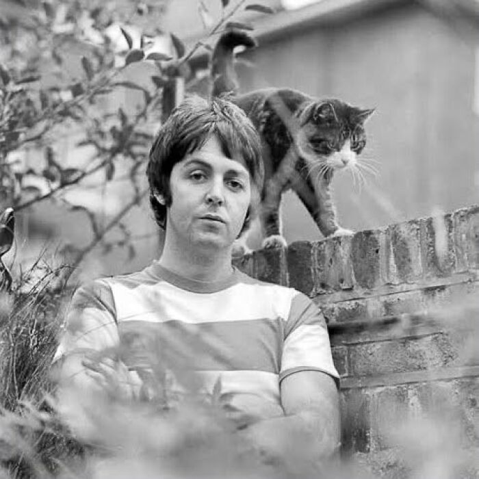 Black and white vintage cat photo with a man in a striped shirt sitting near a brick wall and a cat on top.