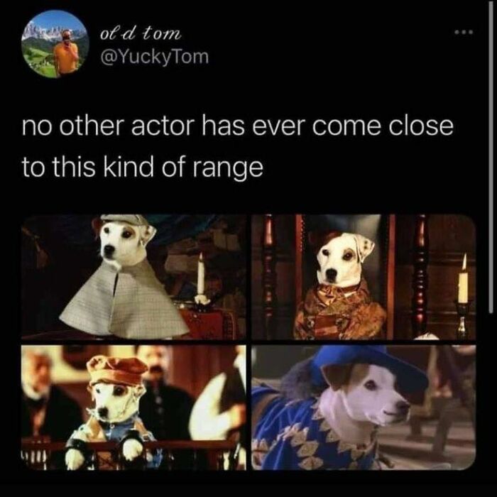 Tweet about unmatched acting range featuring four images of a dog dressed in various costumes, evoking 90s kids nostalgia.