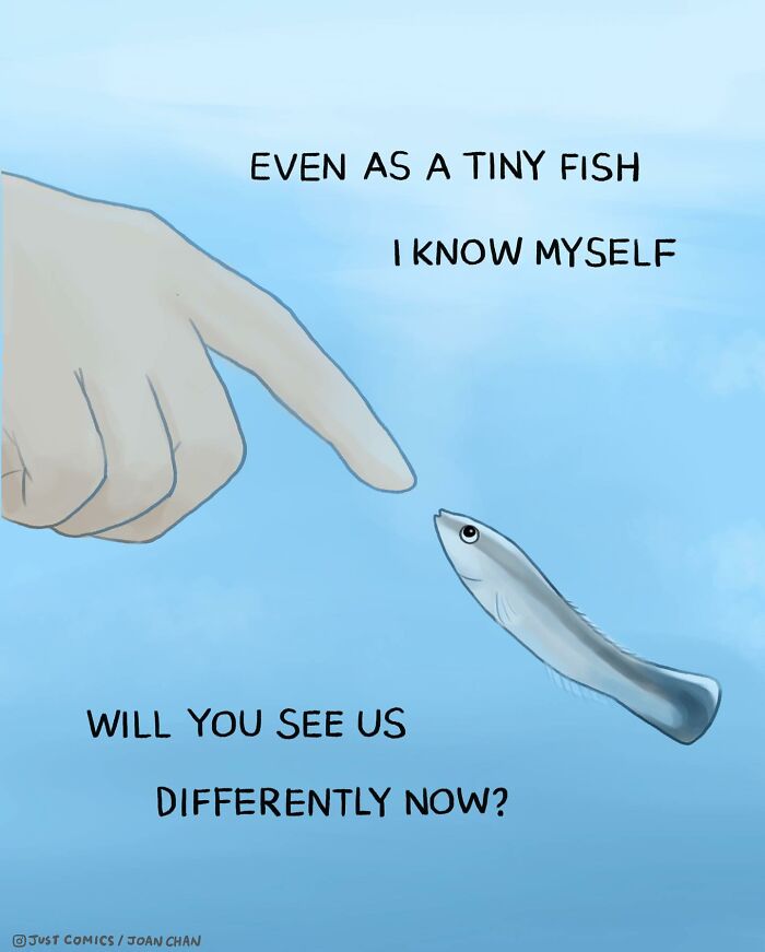 Comic illustrating a fish recognizing itself in photos, highlighting the sad reality of many animals on this planet.