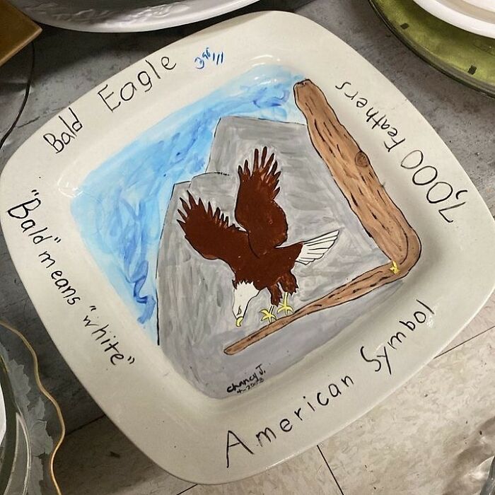Hand-painted thrift store plate featuring a bald eagle and handwritten text about American symbol and feathers.