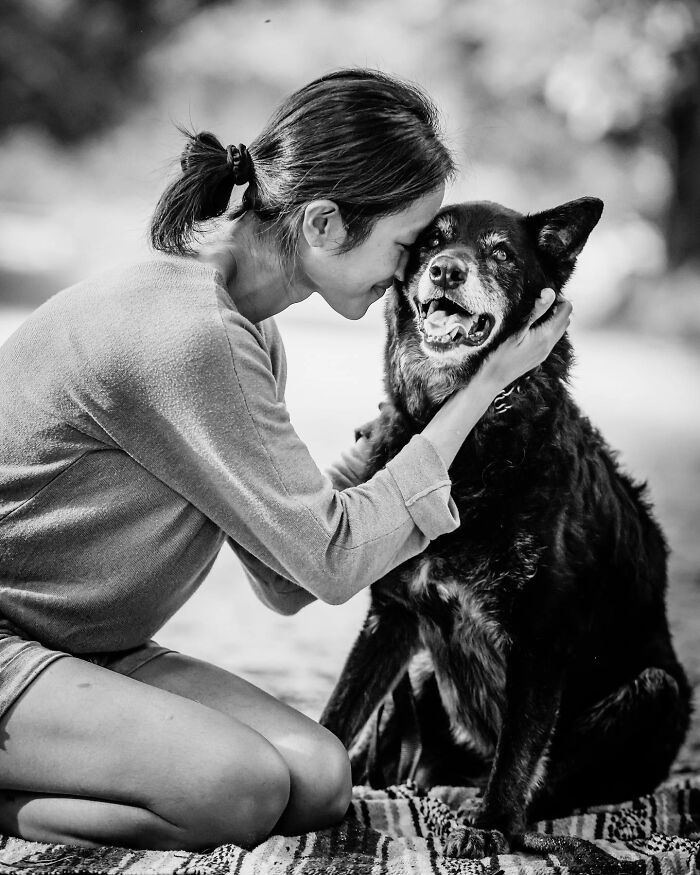 A couple sharing a tender moment with their dog, capturing touching final moments between pets and their humans.