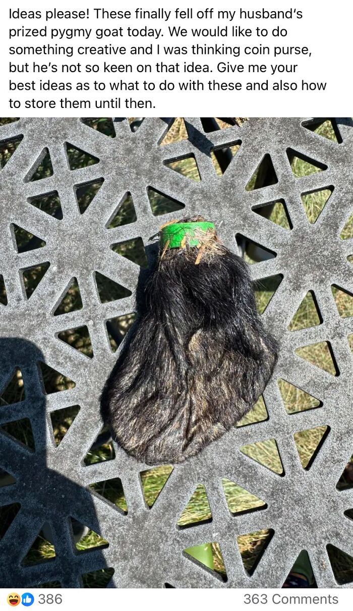 Pygmy goat hooves removed and displayed on patterned outdoor metal table, example of horrendous DIY craft shaming project.