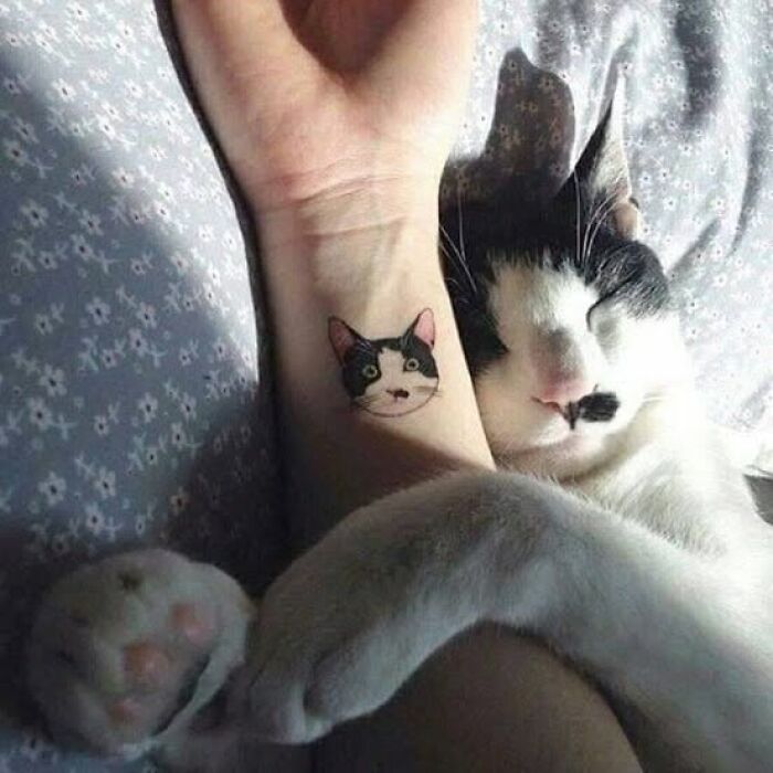 Black and white cat sleeping while hugging an arm with a matching cat face tattoo on the wrist in a cozy setting.