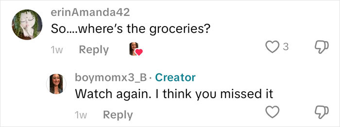 Screenshot of a TikTok comment thread discussing an American family grocery haul, questioning where the groceries are.