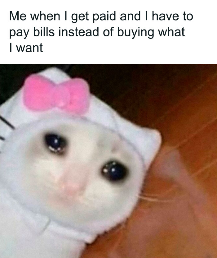 Sad cat wearing a Hello Kitty costume illustrating introvert-worthy memes about paying bills instead of buying wants.