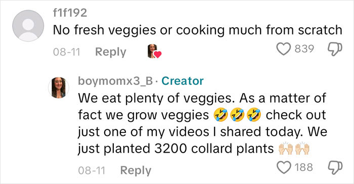 Comments discussing eating and growing fresh veggies in response to an American family grocery haul video.