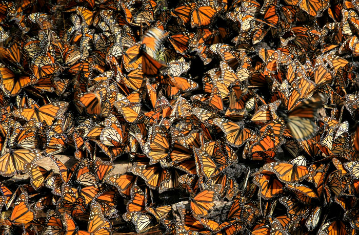 “We Regret Nothing”: 45 Totally Unnecessary But Hilarious Wedding Spends - 42