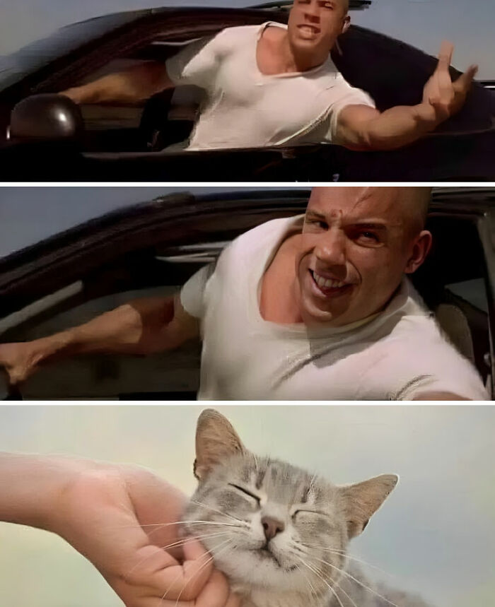 Vin Diesel leaning out of a car window in two frames, followed by a close-up of a cat being petted, a meme cinephiles might appreciate.