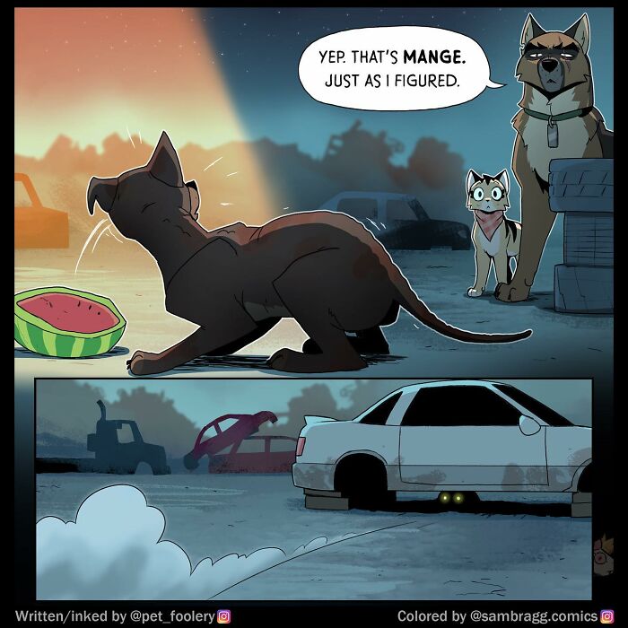 Black cat and dog with glowing eyes investigating watermelon slice with buzzing flies in a pet foolery comic style.