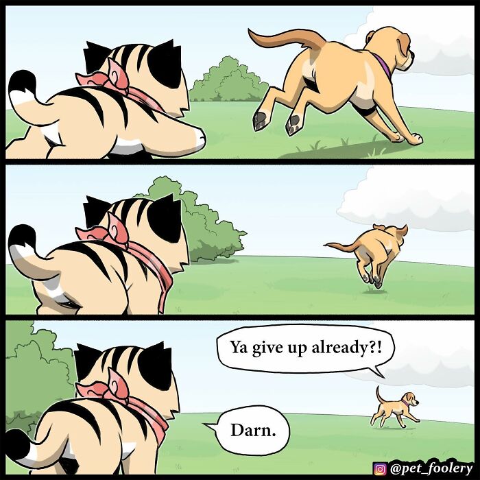 Cartoon of a playful dog and cat in a yard, capturing the humor and charm of Pet Foolery comics.