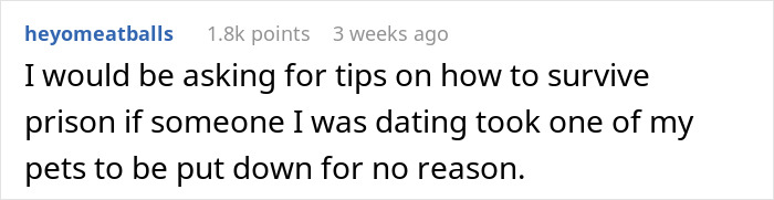 Comment discussing a boyfriend trying to stealthily euthanize girlfriend&rsquo;s dog, sparking online backlash.