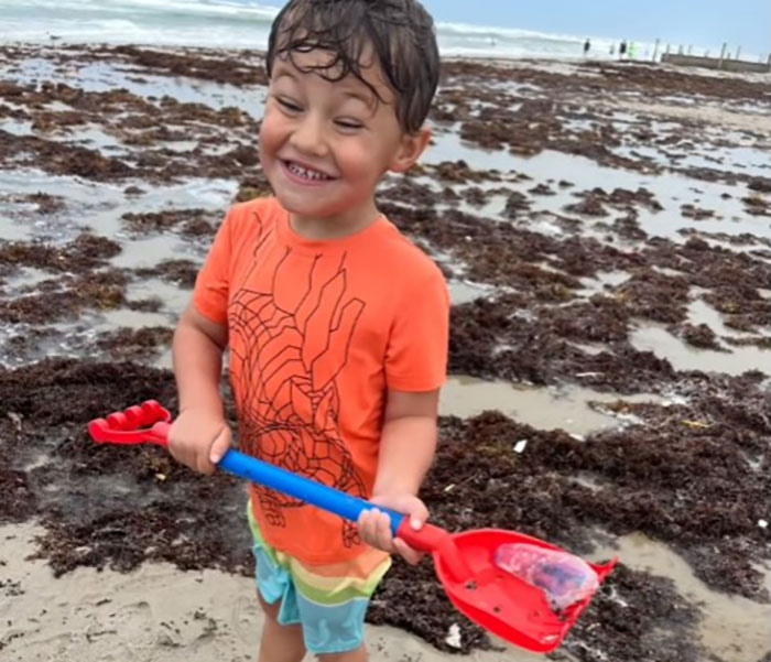 Young boy playing on the beach holding a red shovel, relating to the mom of 6yo boy attacked by octopus viral incident. - 2