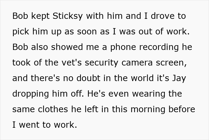 Text excerpt discussing a phone recording from a vet's security camera showing a man dropping off a dog.